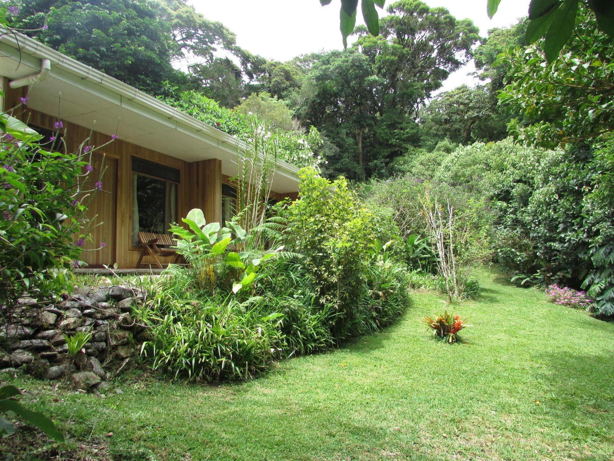 Hospedaje Mariposa Monteverde 外观 照片